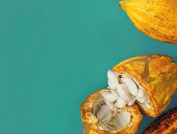 Imagen cabecera La asociatividad como símbolo supremo de la confianza