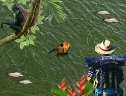 Imagen cabecera Viajar mientras se cuida el planeta 