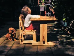 Imagen De la soledad  a la amistad