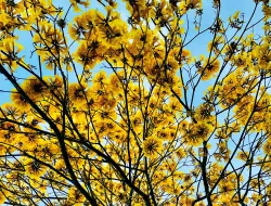 Imagen Amar también es dejar ir