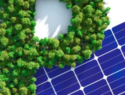 Imagen Convertir el riesgo climático en oportunidad planetaria