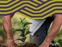 Imagen > Prevenir para no lamentar...