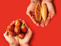 Imagen cabecera Cocina intuitiva, el poder de recuperar los sabores ancestrales