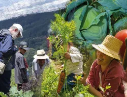 Imagen Del acto a la consciencia