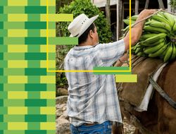 Imagen > Desarrollo rural para un agro 5.0