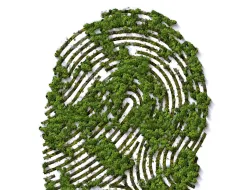 Imagen Acciones cotidianas para mitigar el cambio climático