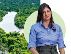 Imagen Colombia y su potencial climático