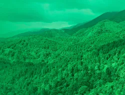 Imagen cabecera Biosuroeste: un emprendimiento social con propósito compartido