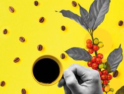 Imagen cabecera Abrirle las puertas al turismo y hacerlo en comunidad