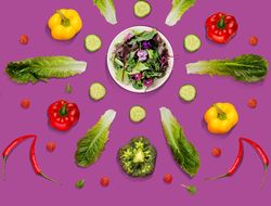 Imagen cabecera Ciudad y campo en sintonía con la vida