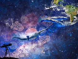 Imagen cabecera Estamos interconectados: somos partículas estelares