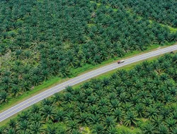 Imagen Una transformación agrícola